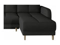 Black Fabric Sofa